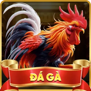 Xem đá gà trực tiếp HD trên 89bet1