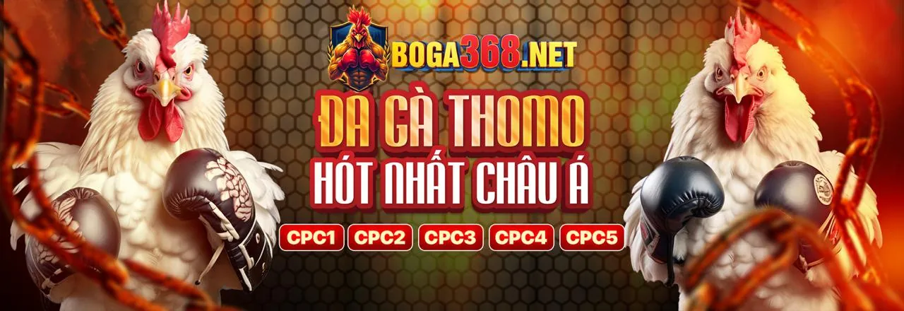 Đá Gà Trực Tuyến 89bet1 App Android