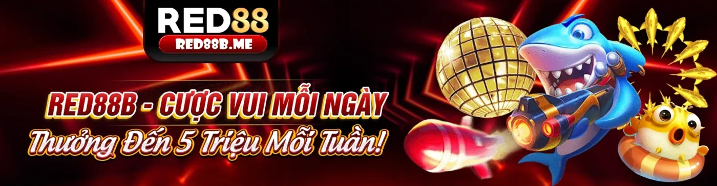 Giao diện hiện đại của ứng dụng 89bet1 Android